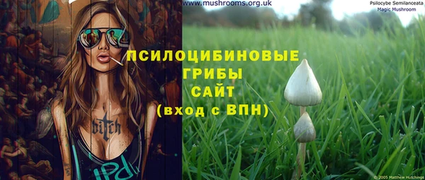 ПСИЛОЦИБИНОВЫЕ ГРИБЫ Арсеньев