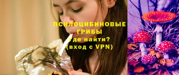 ПСИЛОЦИБИНОВЫЕ ГРИБЫ Арсеньев