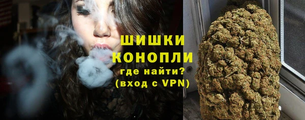 ПСИЛОЦИБИНОВЫЕ ГРИБЫ Арсеньев